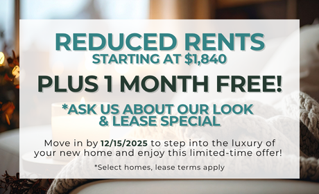 image for /shared/images/newell-village-popup-a4xv5guk.png