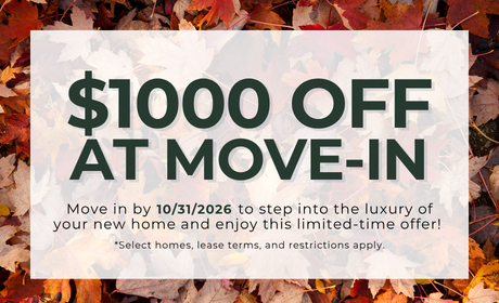 image for /shared/images/newell-village-popup-huauqvyr.png