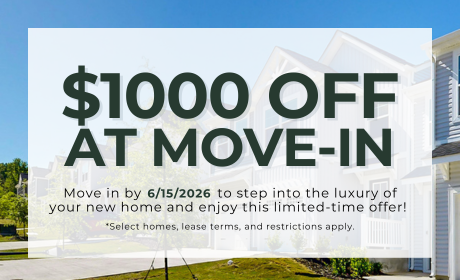 image for /shared/images/newell-village-popup-jddbxdsh.png