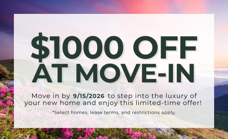 image for /shared/images/newell-village-popup-ucay12ou.png