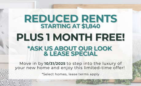 image for /shared/images/newell-village-popup-wbsntzku.png